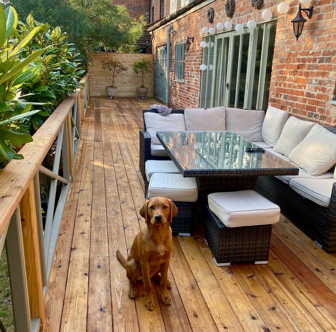 fencing and decking
